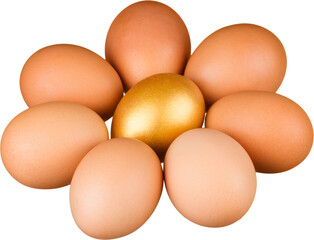 Golden Egg Surrounded With Eggs - Isolated