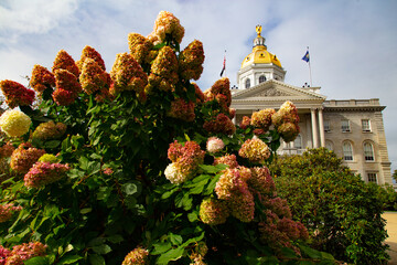 New Hampshire state capitol building.
