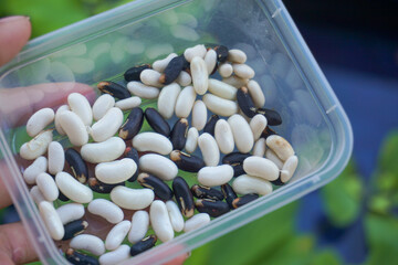 Stock photo of grain sitting in a container with bright lighting