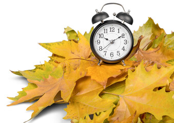 Alarm Clock on Leaves