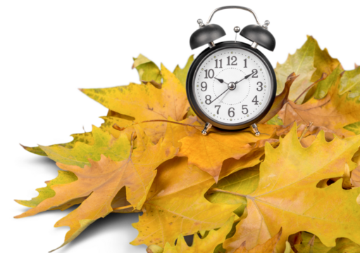 Alarm Clock on Leaves