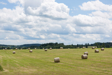 the rural landscape with the hay bales made of straw