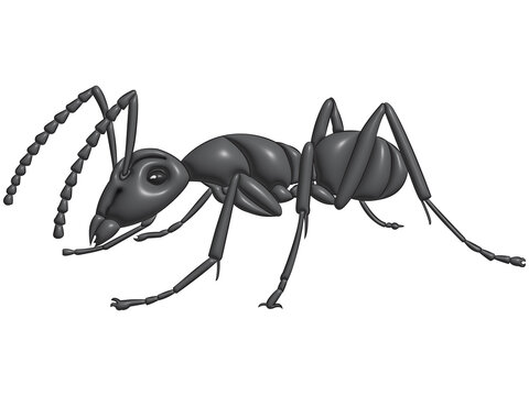 Ants in the form of a 3D-rendered image on a transparent background.