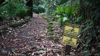 Snake warning signs on the way down to Catarata del Toro waterfall, Costa Rica.