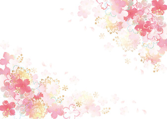 桜　花びら　水彩　菊　和柄　背景　ベクター