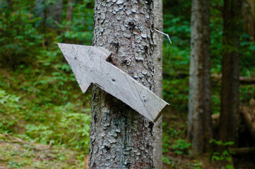 Arrow in the woods