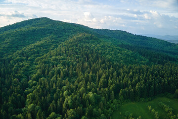 Aerial view of green pine forest with dark spruce trees covering mountain hills. Nothern woodland scenery from above