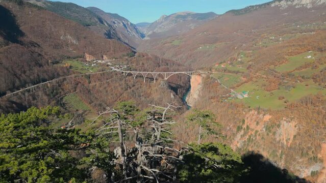 Tara canyon in Montenegro, aerial view. Fly close to forest. Fall season, durdevica viaduct on a background