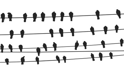 vector birds on wire