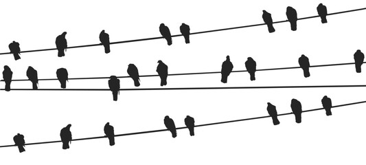 vector birds on wire