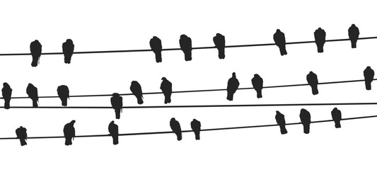 vector birds on wire