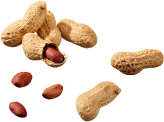 Peanuts - Isolated