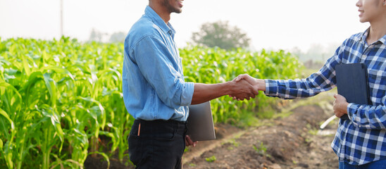 Shaking hands Asian farmer works and monitors the growth of corn plants in a corn field to prepare fertilizers to increase the yield of healthy, healthy corn, well-weighted maize.