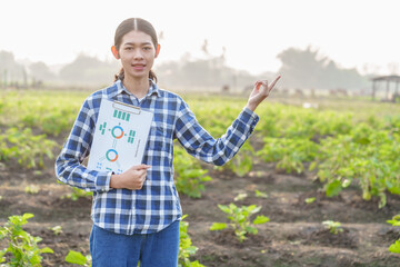 Fototapeta premium Young Asian farmer working in a brinjal field and taking notes on growth. to nourish the soil and fertilize to accelerate flowering before harvesting Agriculture concept