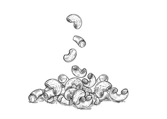 Hand drawn sketch black and white of pasta heap, spaghetti. Vector illustration. Elements in graphic style label, sticker, menu, package. Engraved style illustration.