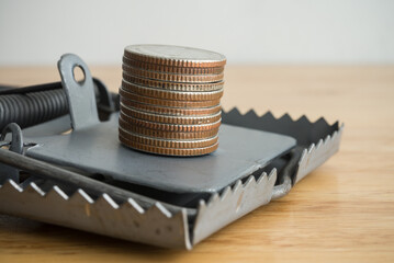 Close up stacked coins in danger a rat trap on wooden background. Online internet financial scam,...