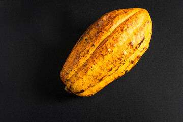 Fresh cacao fruit isolated on a black background.