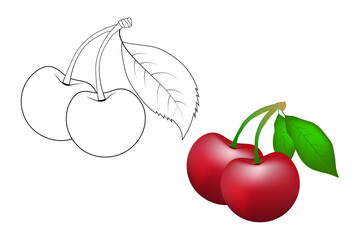 cherry fruit colorful and outline vector