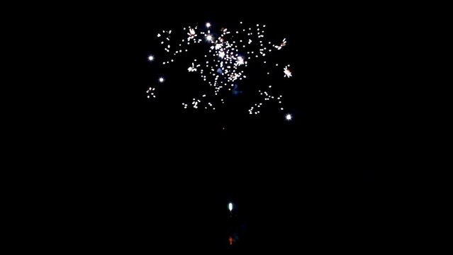 Half-round of bright colorful firework on black background to create a set salute on video for holiday.