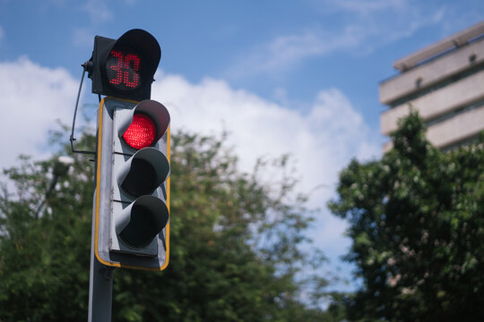 Traffic light with timer showing red light