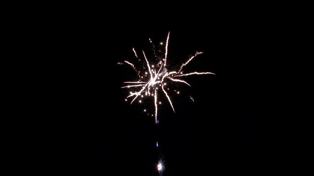 Firework on black background (black night sky). Concept of pyrotechnics at festive events.