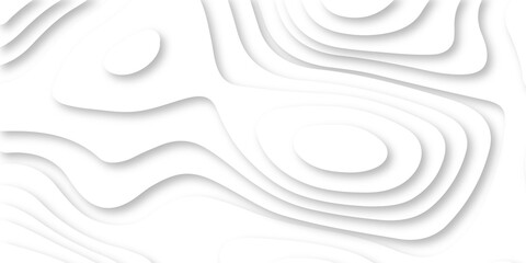 Abstract Luxury paper cut background, Abstract decoration, white pattern lines gradients, 3d Vector illustration, topographic canyon map light relief texture, curved layers.