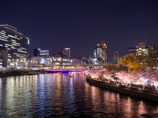 Obraz premium 天満橋からの夜桜