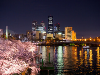Naklejka premium 天満橋からの夜桜