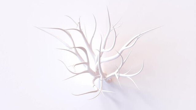 Growing tree on white background. Alpha Channel, cg animation, 3D Render.