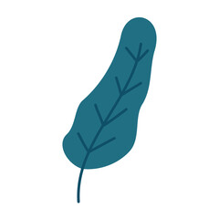 tropical leaf illustration element