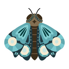 butterfly illustration element