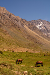 hiking day with friends in a sunny day