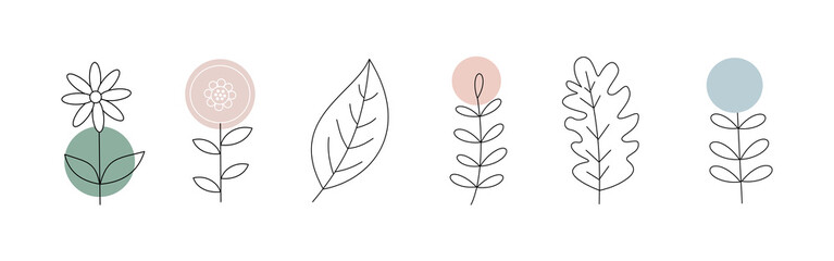 Minimalist floral hand drawn with pastel ornament