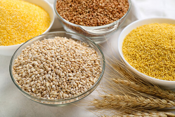 Bowls with different cereals and spikelets on light background, closeup
