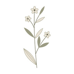 Obraz premium beautiful simple flower