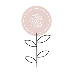 simple flower in pastel color