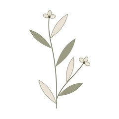 vintage leaf and flower illustration