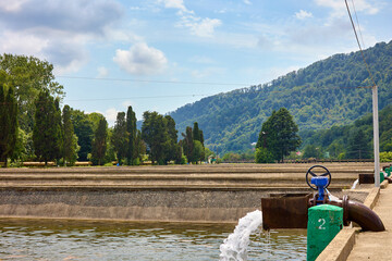 Huge artificial pools are filled with clean water for growing fish in the fishing industry high in...