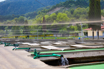 Open water bodies with fish on the fish farm are protected from birds by a metal net. Protective...