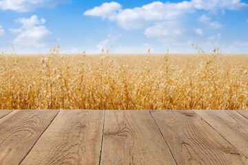 wooden empty table and ripe cereal oat field on the background
