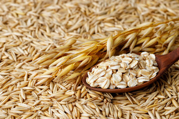 oatmeal in spoon with oat ears and grains as background