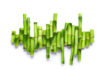 Composition with green bamboo stems on white background
