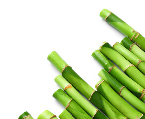 Green bamboo stems on white background, closeup