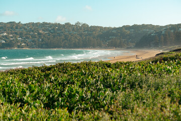 landscape of sea and green nature