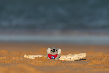 Obraz premium koala in the sand on the beach