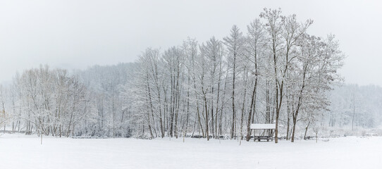 Panorama of snow-covered trees and gazebos