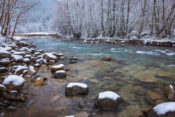 The river flows along a rocky channel in the middle of the forest in winter in Zakarpattia, Ukraine
