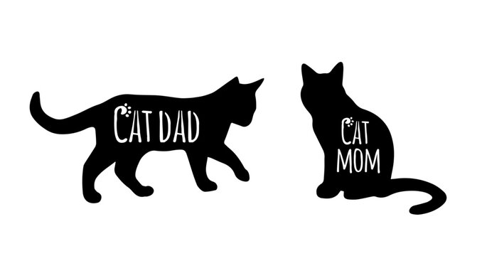 You me and the cats svg, cat svg, cat SVG Bundle, Hand drawn inspirational quotes about cats.