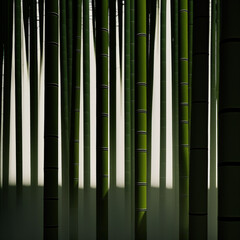 Minimalist Bamboo Field