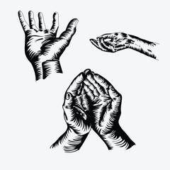 Vintage Human Hand Vector 
